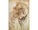tableau de Vinci