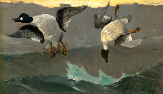 Tableau