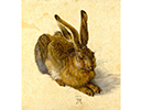 tableau de Dürer