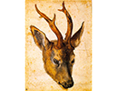 tableau de Dürer