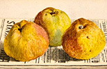 tableau de Anker