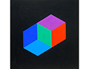 tableau de Vasarely