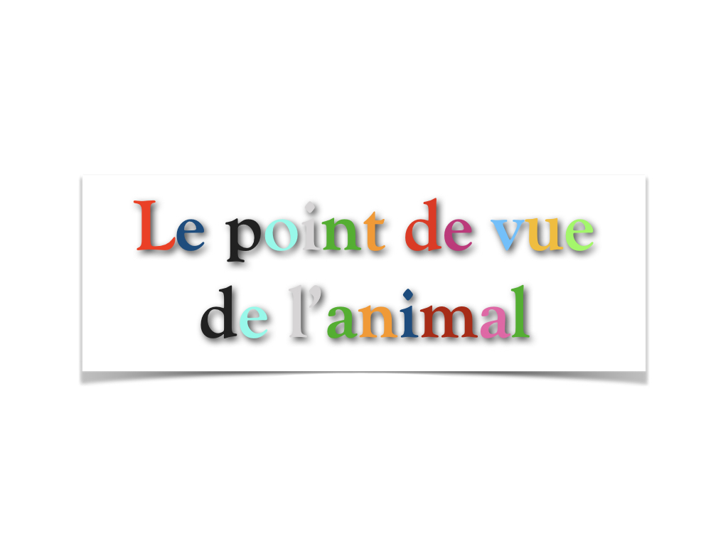 Proposition d'écriture